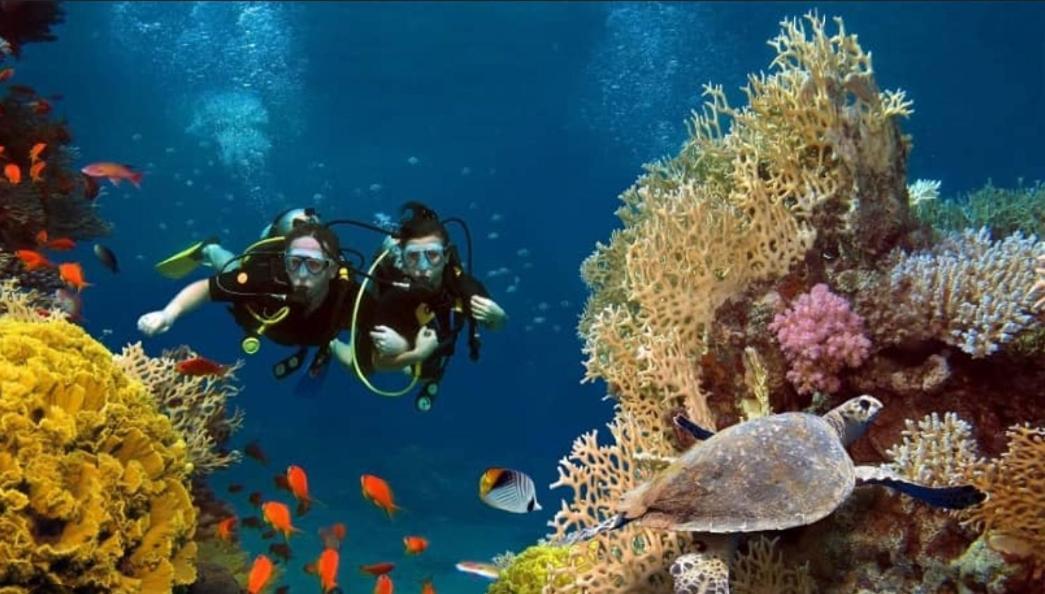 Elysian Hideaway Hotel Maafushi Bagian luar foto
